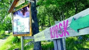 Nu talar allt för att Esterön åter är på väg att bli det sommarparadis det en gång var. Detta sedan Norrköpings kommun planerar att rusta upp alla byggnader på ön och anlita en ny arrendator. 
FOTO: ROBERT SVENSSON/arkiv