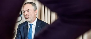 Björklund och flumskolan