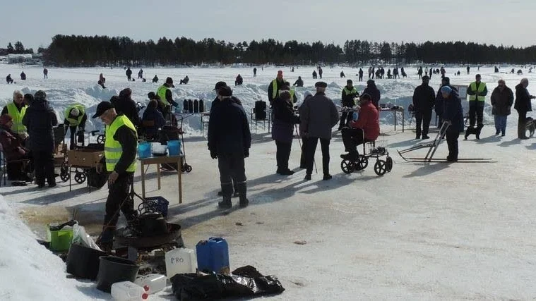 Vy  över Nyborgstjärn.