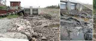 Kräver att kraftverk rivs i Åbyälven