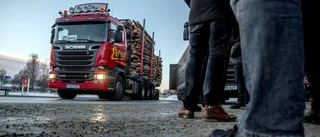 Regeringen öppnar för 74 ton