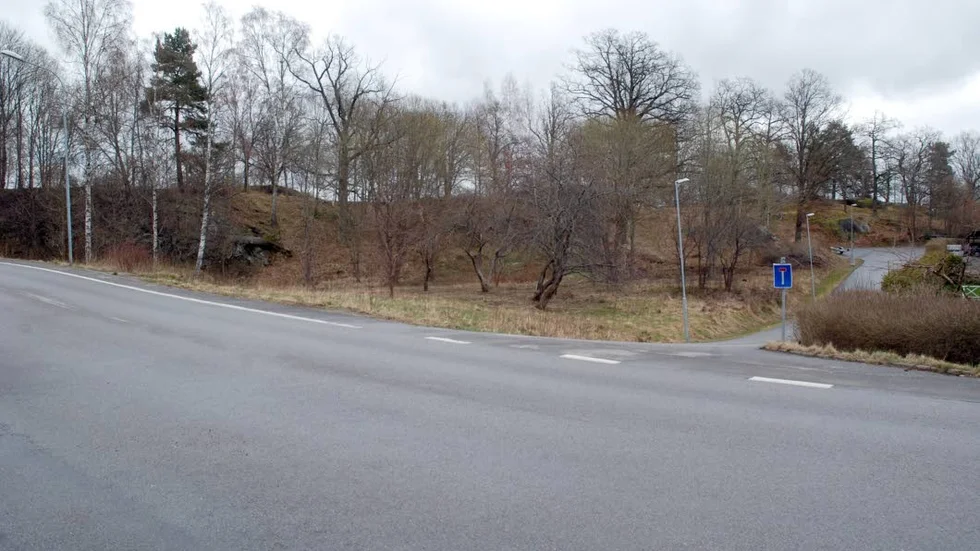 Där entrén låg finns ingenting kvar. Det är först uppe på området man kan se spår av det som en gång var en uppskattad folkpark.