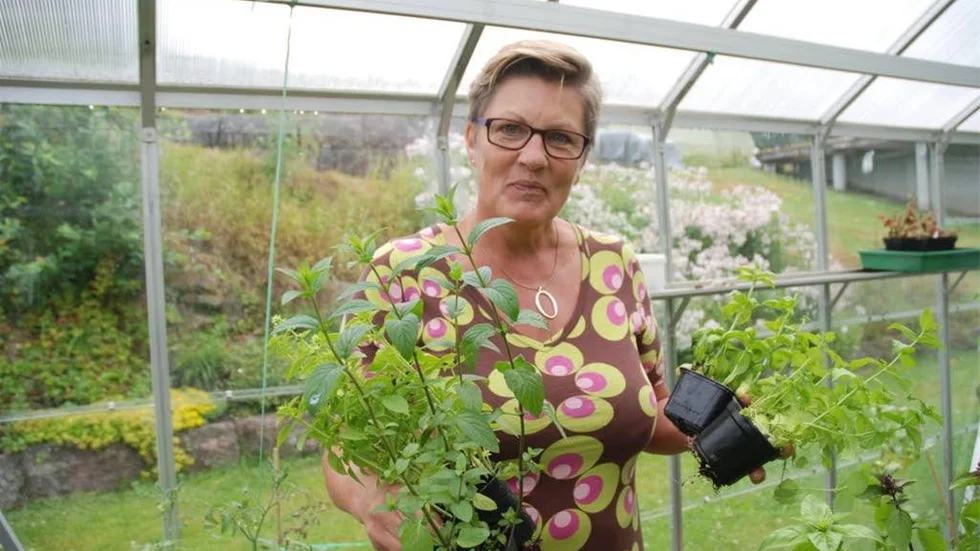 - Det finns så mycket att ta till vara på i naturen. Det finns ett helt skafferi där ute, säger den nyutbildade ekologiska kocken Kerstin Svanberg.