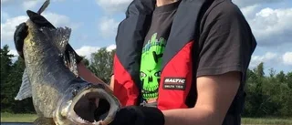 Blåsig Gösnatta i Hävla