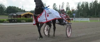 Välfyllda lopp i Bodentravet