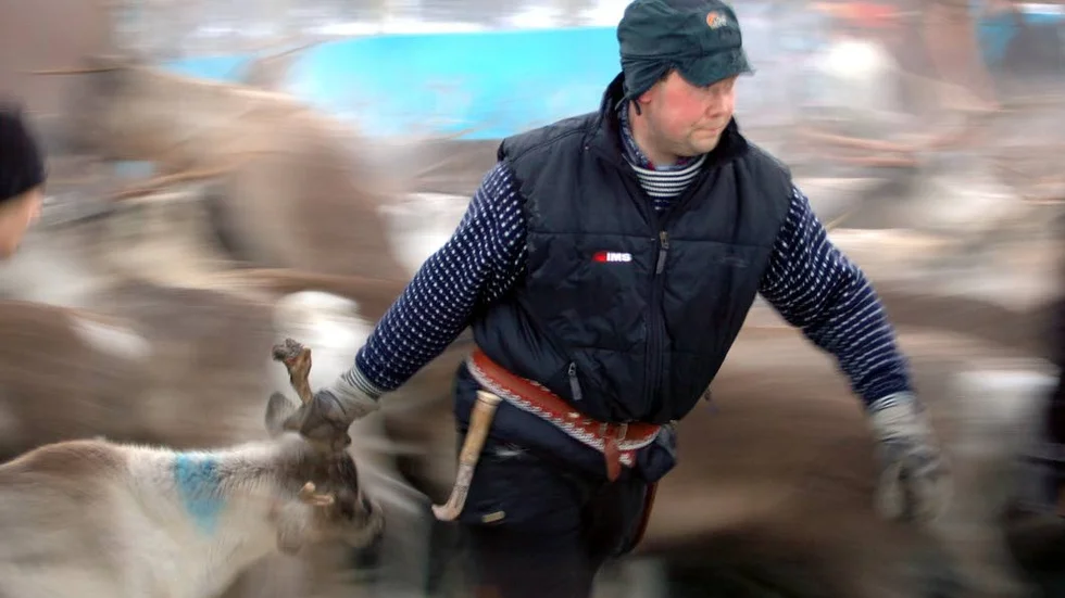 Rennäringen beviljas pengar för att integrera ny teknik i renskötselarbetet.