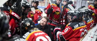 Luleå/MSSK ska förstärka laget