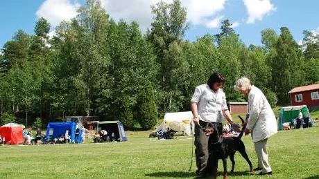 Christina Söderqvist visade upp Dobbermannen Mezzrow´s Bix, syskon med hennes egen hund Buller.