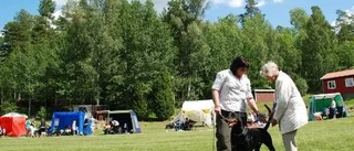 Wittra tävlade i skönhet och psyke