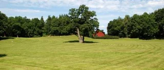 Lastbilar bannlysta vid Vibjörnsparken