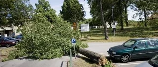 Stormvindarna orsakade olyckor