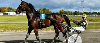 Än hålls striden i kuskligan vid liv • Torsdagslunchen bjöd på blandad kompott.
