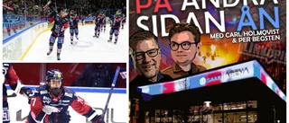 Om kökaoset: "LHC borde säga att de gjorde en miss"