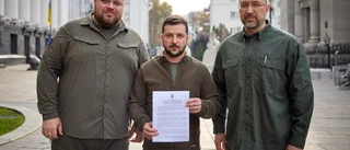 Flera Natoländer vill se Ukraina i alliansen
