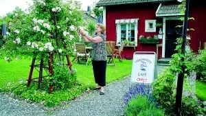 Margaretha Dyrkell har gjort verklighet av drömmen om ett eget fik. Foto: Johan Gustafsson
