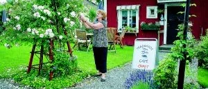 Margaretha öppnar café i sin trädgård