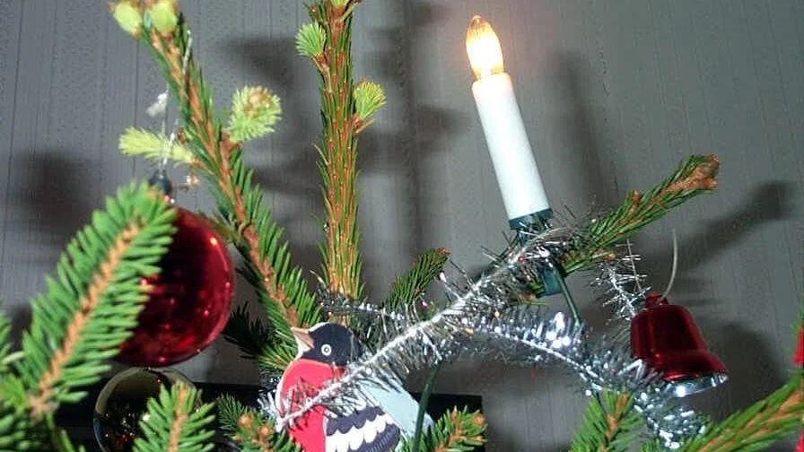 Blöta jular brukar inte vara populära – men kanske allra minst när det visar sig att de utspelat sig inne i vardagsrummet. (Arkivbild)