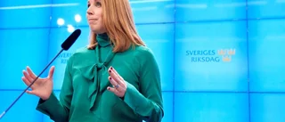 Vore jag Centerpartiet, hur hade jag tänkt?