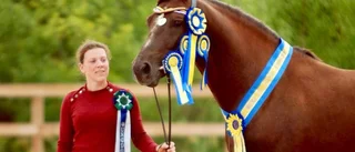 Guld för Elisa – nära full poäng