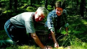 Sven Erik och Lena Pettersson kallar sig själva för svampkännare och inte för svampexperter. Enligt dem är en svampexpert högskoleutbildad.