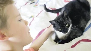 Josefine Björkholm blev charmad av en kattunge, när hon följde med mormor till Fiahemmet för att köpa katt. 
FOTO: SUSANNE LUNDBÄCK