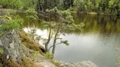 Området är värt att besöka och den gamal vandringsleden bör rustas upp, anser tre föreningar i Finspång.
FOTO: GUNNAR JOHANSSON