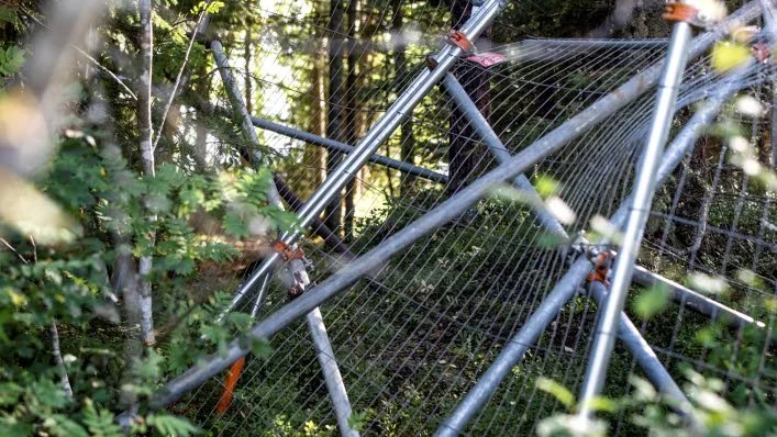 Nedtaget. Det stängsel som i början av september sattes upp i ena änden av en bro på stigen mellan Hattudden och Bunäsudden är nu borttaget.