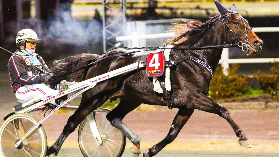 TRE MILJONER. Makethemark (Ulf Ohlsson) kan passera tre miljoner i insprunget i V756-6 på Solvalla, lördag.