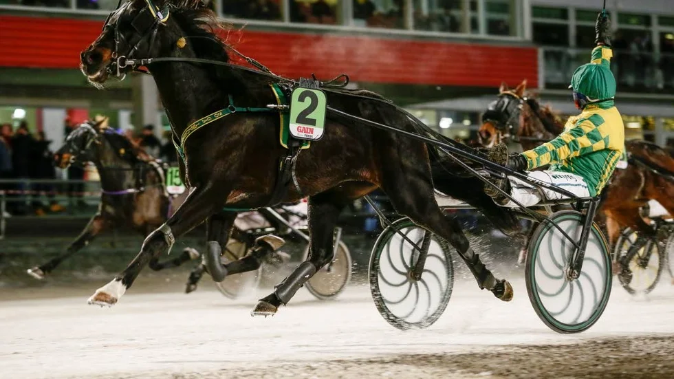SEGRARE. Åttaåriga stoet Highland Q. Sister svarade för en strålande prestation genom att vinna V4-2 (LD-1) på Bodentravet.