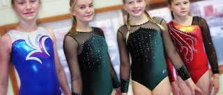 Frida tog hem guld i junior-DM
