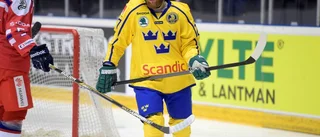 Omark i VM-truppen