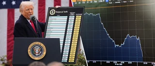 Trumps tullar chockade marknaden – detta vill han uppnå