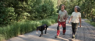 Så ska Västerbotten bli tryggare: "Gynnar samhället"