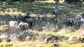Utsatte får för svårt lidande – kvinna döms till fängelse