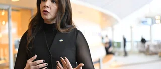 Föreslår obligatorisk förskola från tre år