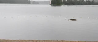 Grova misshandeln på Visholmen överklagas