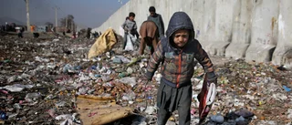 Stoppa utvisningar till Afghanistan