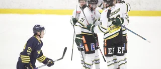 Spelarbetyg: De var bäst i ESK mot Wings