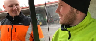 De klipper träd i stället för att ploga snö
