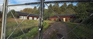 Hovrätten mildrar tingsrättens domar