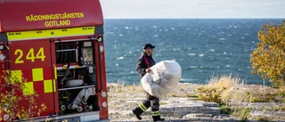 Förundersökning inleds gällande oljeutsläppet