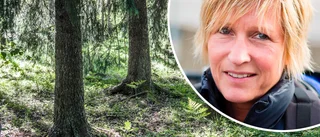 "Lyckliga skogen" ska lära unga om naturen