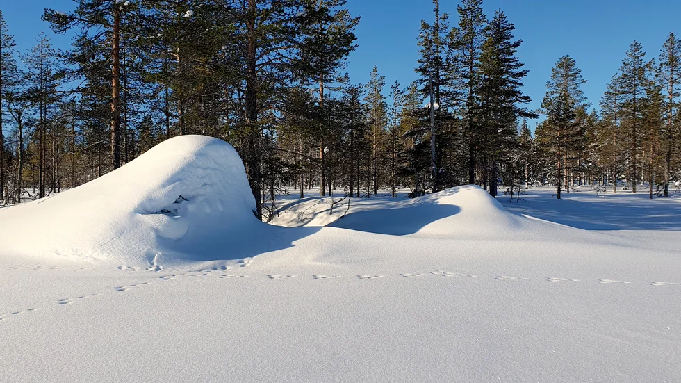 Offerplatsen där föremålen tagits från finns vid sjön Unna Saiva, i närheten av Lillsaivis.  