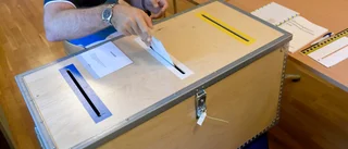Unga väljare hakar på den trend de känner av