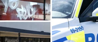 21-åring låg bakom klotterattacker 