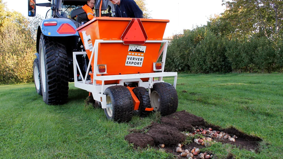 8 000 vårblommande lökar plöjdes ned i gräsmattan med hjälp av traktor och planteringsmaskin.