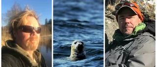 Trovärdig observation av säl i Mariefred