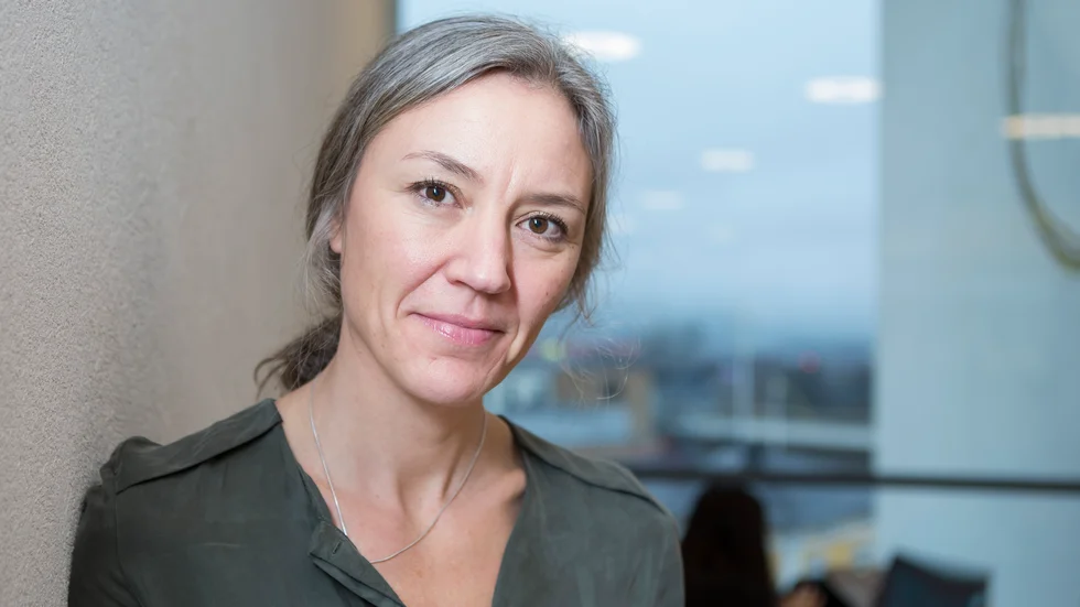 Disa Bergnehr har ett starkt intresse för barn och föräldraskap. Hon forskar och är professor vid Högskolan Borås.  