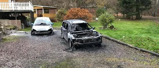 Damberg (S) tillsätter utredning