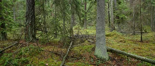 Överklagande av naturreservat prövas inte
